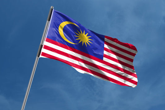 More Than Mistakes: Analyzing the Impact of Malaysian Flag Incidents